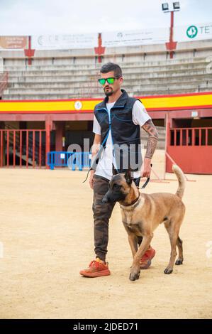 De belles promenades de chiens belges formés à Malinois à côté de son entraîneur Banque D'Images