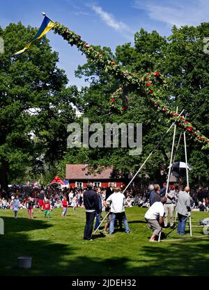 Élever et danser autour d'un maypole lors d'une célébration du milieu de l'été à Medevi, en Suède. Banque D'Images