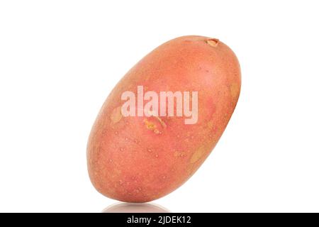 Une pomme de terre rose biologique, en gros plan, isolée sur fond blanc. Banque D'Images