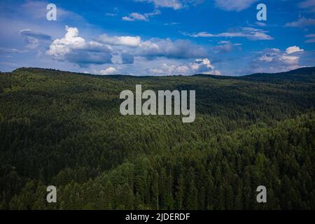 Parc naturel national de Skole Beskids. Vue de drone sur la forêt, la montagne Banque D'Images