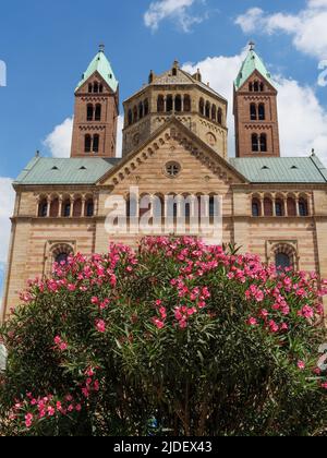 la ville d'os speyer en allemagne Banque D'Images