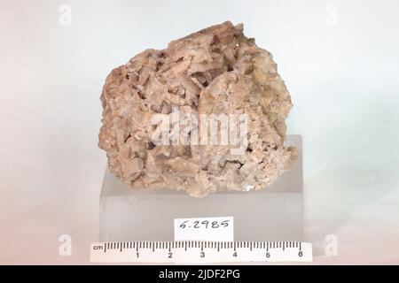 Minéraux de hornblende. Amérique du Nord ; États-Unis ; New York ; comté de Saint Lawrence ; Rossie ; Lac Grasse Banque D'Images