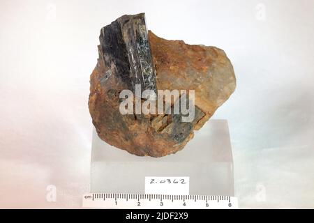 Minéraux de hornblende. Amérique du Nord; États-Unis; New York; Lewis County; Diana Banque D'Images