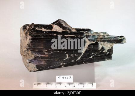 Minéraux de hornblende. Europe ; Norvège ; province de Telemark ; Kragero Banque D'Images