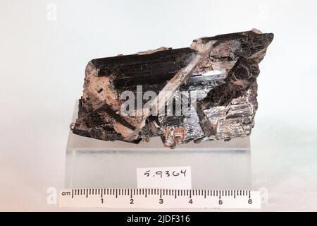 Minéraux de hornblende. Europe ; Norvège ; province de Telemark ; Kragero Banque D'Images