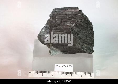 Minéraux de hornblende. Europe ; Norvège ; province de Telemark ; Kragero Banque D'Images