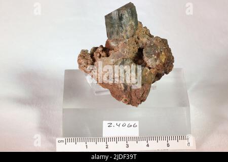 Minéraux de hornblende. Amérique du Nord; États-Unis; New York; comté de Saint Lawrence; DeKalb Banque D'Images