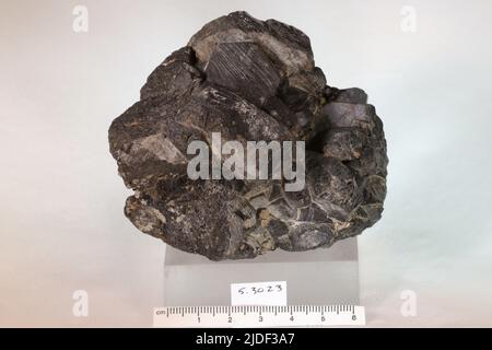 Minéraux de hornblende. Amérique du Nord ; États-Unis ; New York ; Orange County ; Edenville Banque D'Images