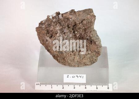 Minéraux de hornblende. Amérique du Nord ; États-Unis ; New York ; Orange County ; Warwick Banque D'Images