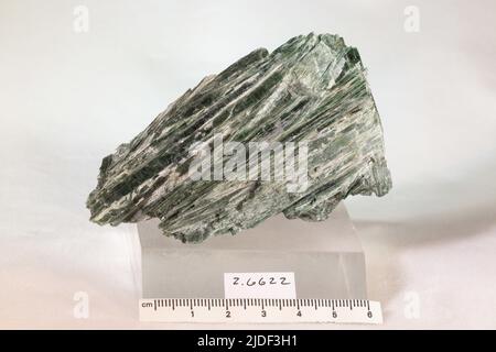 Actinolite. Minéraux. Amérique du Nord ; États-Unis ; Californie ; Comté de San Bernardino ; Wrightwood Banque D'Images