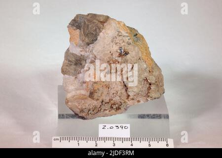 Minéraux de hornblende. Amérique du Nord ; États-Unis ; New York ; Orange County ; Warwick Banque D'Images