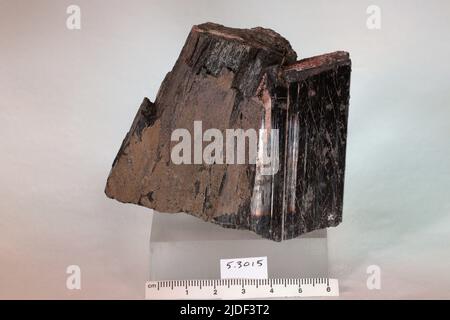 Minéraux de hornblende. Europe ; Norvège ; province de Telemark ; Kragero Banque D'Images