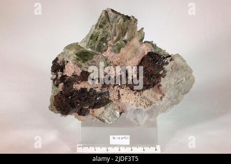 Minéraux de hornblende. Amérique du Nord; États-Unis; New York; comté de Saint Lawrence; Macomb Banque D'Images