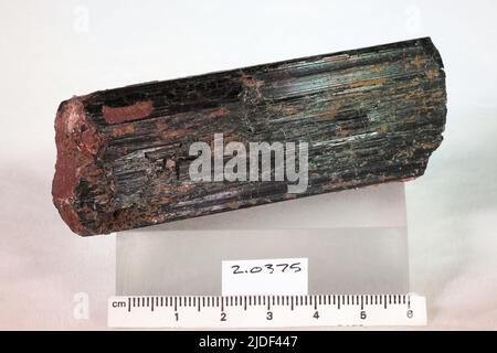 Minéraux de hornblende. Europe ; Norvège ; province de Telemark ; Kragero Banque D'Images