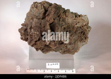 Minéraux de hornblende. Amérique du Nord; États-Unis; New York; comté de Saint Lawrence; Gouverneur Banque D'Images