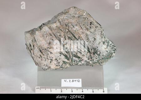 Actinolite. Minéraux. Amérique du Nord; États-Unis; Californie; Marin County; Tiburon Banque D'Images