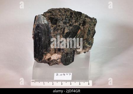 Minéraux de hornblende. Europe ; Norvège ; province de Telemark ; Kragero Banque D'Images