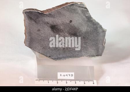 Actinolite. Minéraux. Amérique du Nord ; États-Unis ; Wyoming ; Granite Mountain Banque D'Images