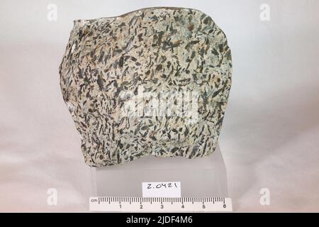 Minéraux amphibole. Amérique du Nord; États-Unis; Massachusetts; Hampshire County; Williamsburg Banque D'Images