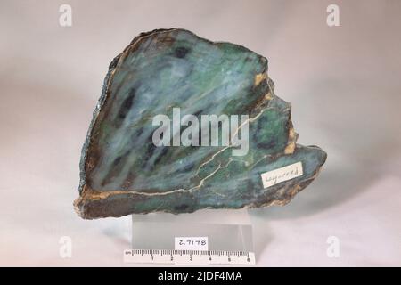 Actinolite. Minéraux. Amérique du Nord; États-Unis; Wyoming; Fremont County; Antelope Hills Banque D'Images