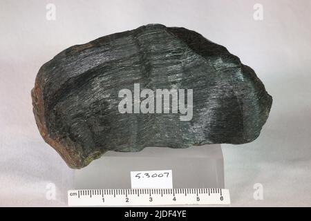 Actinolite. Minéraux. Amérique du Nord; États-Unis; Rhode Island; Cumberland Banque D'Images