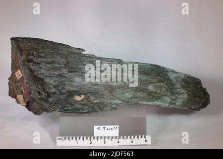 Actinolite. Minéraux. Amérique du Nord; États-Unis; Rhode Island; Cumberland Banque D'Images