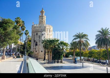 La Torre del Oro (Tour d'Or), Tour militaire de surveillance sur le fleuve Guadalquivir à Séville Espagne construite par les Maures Une forme de dodécagon Banque D'Images