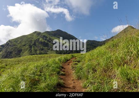 Vue sur le chemin de randonnée à mi-chemin à travers le trek vers Chembra Peak à Wayanad, Kerala Banque D'Images