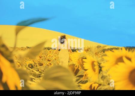 Double exposition de la vue arrière de la marche de fille sur le champ de tournesol et le drapeau d'Etat de l'Ukraine. La femme marche parmi les fleurs dorées. Les semences sont cultivées pour la consommation humaine ou pour la production de pétrole. Banque D'Images