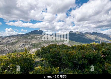 Les Dardanelles peuvent être vues depuis Donnell Vista, un arrêt de repos dans le comté de Tuolumne, CA le long de la State route 108 près de Sonora Pass. Banque D'Images