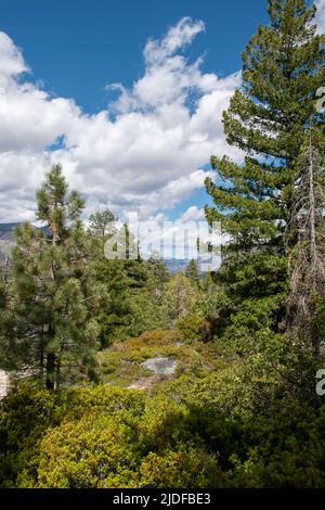 Les Dardanelles peuvent être vues depuis Donnell Vista, un arrêt de repos dans le comté de Tuolumne, CA le long de la State route 108 près de Sonora Pass. Banque D'Images