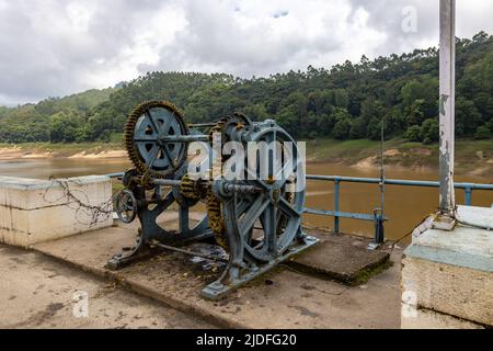 Train de bobinage de la voie du barrage de Kundala à Munnar, Kerala Banque D'Images