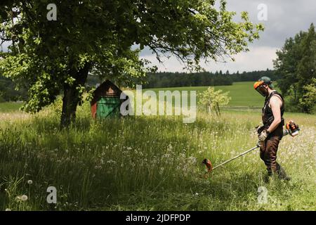 Homme fauchant de l'herbe haute avec un coupe-herbe à essence dans le jardin ou la cour. Processus de tonte de la pelouse avec la tondeuse à main Banque D'Images