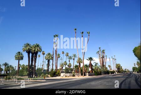 Palm Springs, Californie, États-Unis 11th juin 2022 Une vue générale de l'atmosphère des palmiers sur 11 juin 2022 à Palm Springs, Californie, États-Unis. Photo par Barry King/Alay stock photo Banque D'Images