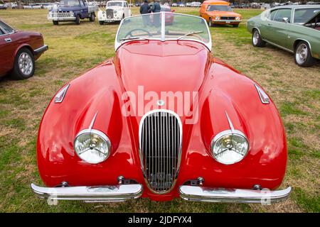 Avant d'une Jaguar XK 120 Banque D'Images