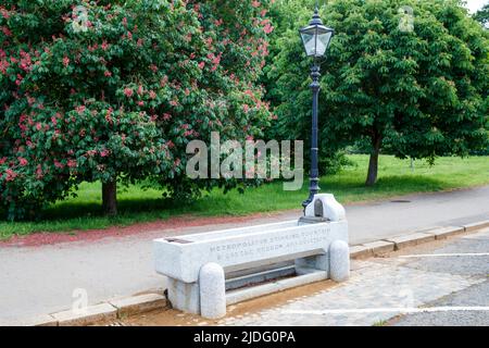 Grande fontaine à boire et bac à bétail à Hyde Park, Londres, Angleterre, Royaume-Uni jeudi, 19 mai 2022. Banque D'Images