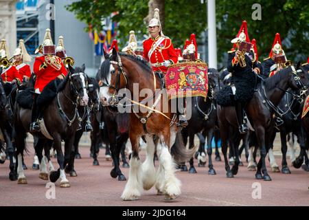 Harry the drum Horse at Trooping the Color répétitions, The Mall, Londres Angleterre, Royaume-Uni Samedi, 21 mai, 2022. Banque D'Images