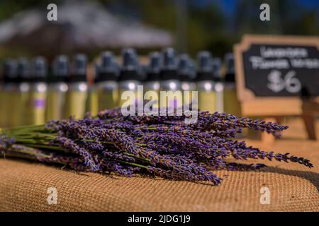 Vaporisateur d'huile essentielle de lavande.Eau parfumée à la lavande,  sérum, eau aromatisée.Fleurs de lavande sur fond.Aromathérapie.Cosmétiques  naturels Photo Stock - Alamy