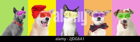 Collage de chiens et chats mignons avec les yeux humains sur fond coloré Banque D'Images