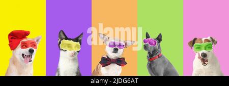 Collage de chiens et chats mignons avec les yeux humains sur fond coloré Banque D'Images