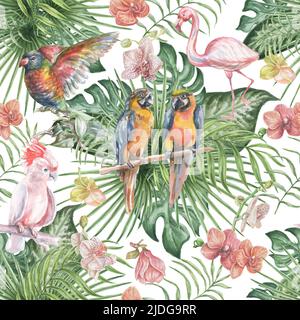 Fleurs d'oiseau et feuilles aquarelle illustration main composition éléments isolés sur fond blanc nature patern jungle sans couture Banque D'Images