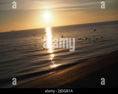 Sheerness, Kent, Royaume-Uni. 21st juin 2022. Météo au Royaume-Uni : lever du solstice d'été à Sheerness, dans le Kent. Crédit : James Bell/Alay Live News Banque D'Images