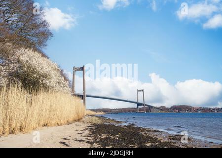 Magnifique pont sur un passage d'eau avec une plage de sable et des rushes le long de l'eau Banque D'Images