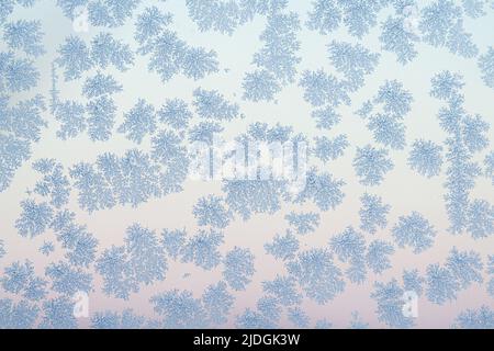 Flocons de givre sur un matin froid en hiver avec beau motif naturel créé par la nature Banque D'Images