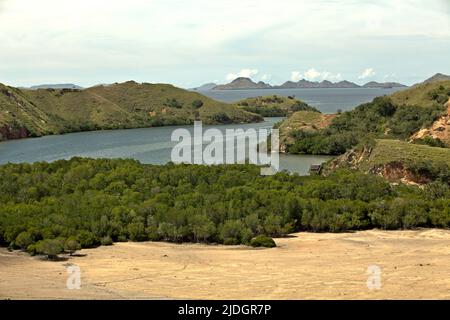 Paysage de l'île de Rinca montrant des terres sèches, une forêt de mangroves, la baie de Loh Buaya et les collines adjacentes, tous font partie du parc national de Komodo à l'ouest de Manggarai, à l'est de Nusa Tenggara, en Indonésie. Banque D'Images