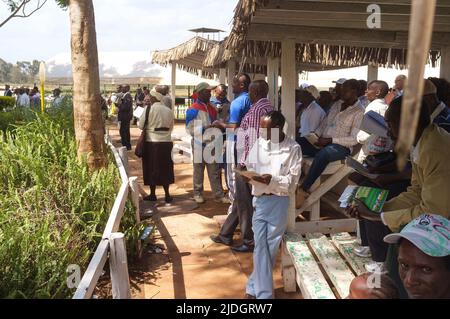 Spectateurs regardant des chevaux en train d'être conduits autour de l'anneau de parade avant une course, champ de courses de Ngong, chemin de Ngong, Nairobi, Kenya. 1 mars 2015 Banque D'Images