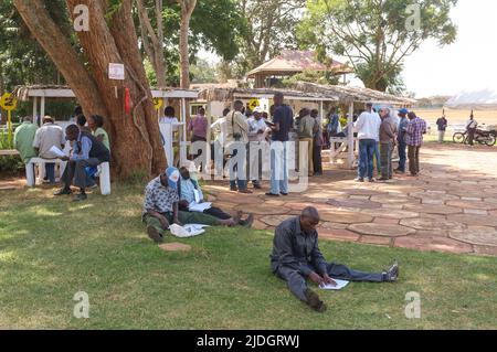 Spectateurs étudiant la cote de course, Hippodrome de Ngong, chemin Ngong, Nairobi, Kenya. 1 mars 2015 Banque D'Images