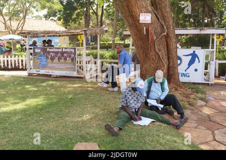 Spectateurs étudiant la cote de course, Hippodrome de Ngong, chemin Ngong, Nairobi, Kenya. 1 mars 2015 Banque D'Images