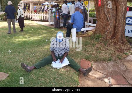 Spectateurs étudiant la cote de course, Hippodrome de Ngong, chemin Ngong, Nairobi, Kenya. 1 mars 2015 Banque D'Images