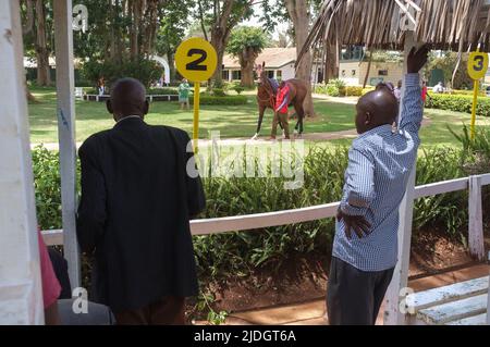 Spectateurs regardant des chevaux en train d'être conduits autour de l'anneau de parade avant une course, champ de courses de Ngong, chemin de Ngong, Nairobi, Kenya. 1 mars 2015 Banque D'Images